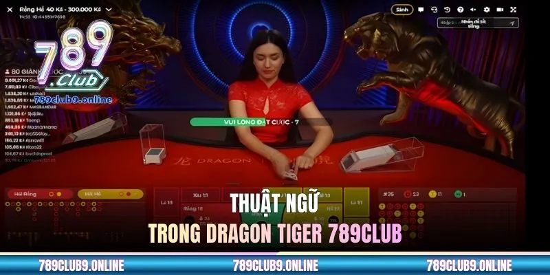 Thuật ngữ trong dragon tiger 789CLUB